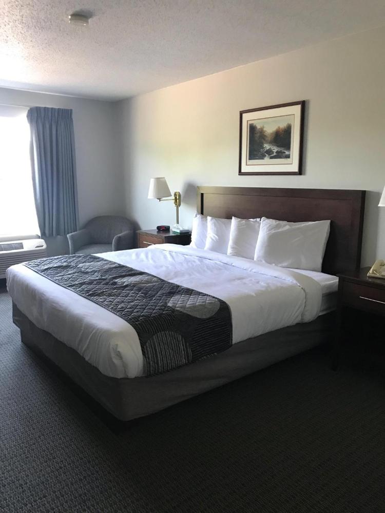 Standard King Room interior
